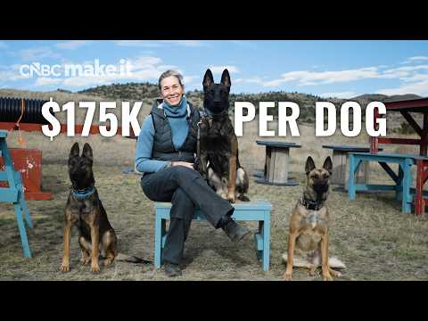 I Sell Protection Dogs For $175K In Montana