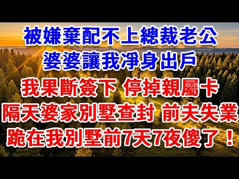 被嫌棄配不上總裁老公，婆婆讓我凈身出戶，我果斷簽下 停掉親屬卡，隔天婆家別墅查封 前夫失業，跪在我別墅前7天7夜傻了！#思妤說故事#為人處世#生活經驗#情感故事#晚年哲理#說故事#完結文#原創故事