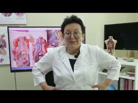 How to help your adrenal glands. {Shishova O.I.]