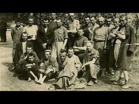 The Gas Chambers of Majdanek: A Chilling Reminder