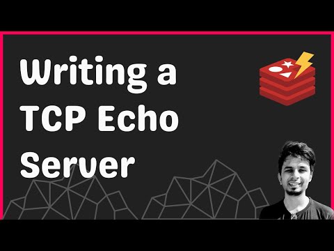 3. Writing a Simple TCP Echo Server | Redis Internals