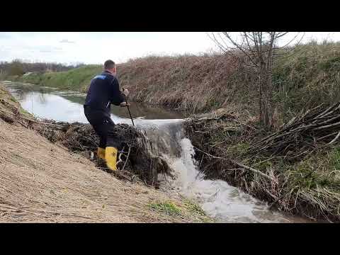 Expedition #14 | Beaver dam removal.  Big and beautiful waterfall.
