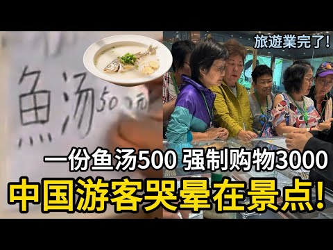 旅遊業完了!一份魚湯500 強製購物3000，中國遊客哭暈在景點
