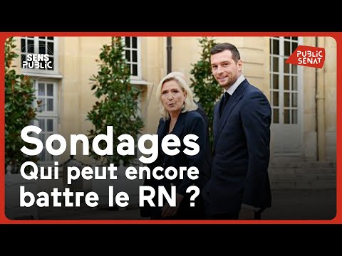 Sondages : qui peut encore battre le RN ?