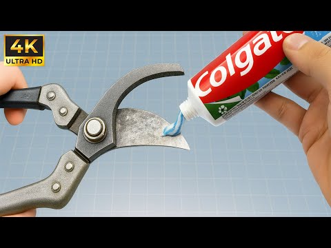 Why Didn't I Know This Sooner! The Easy Way To Sharpen Old Pruning Shears In Just 5 Minutes