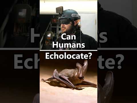 Can Humans Echolocate like Bats?  🦇