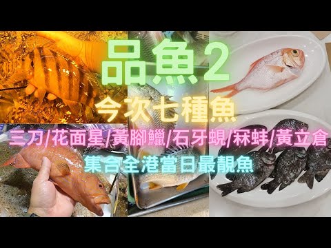 又約朋友品魚😍全港搵靚魚😎集合一齊食👍去天水圍/元朗/荃灣,朋友去西貢/馬鞍山,再加斗門爆膏奄😍三刀/花面星/黃腳鱲/石牙蜆/冧蚌/黃立倉😍~fishcutting香港海鮮~社長遊街市Seafood