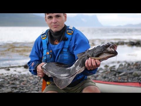 Catching Halibut from my Kayak - Catch & Cook