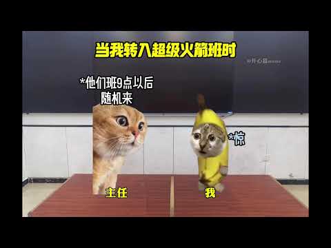 當我從戒網癮學校逃出後#貓meme #真實還原 #抽象