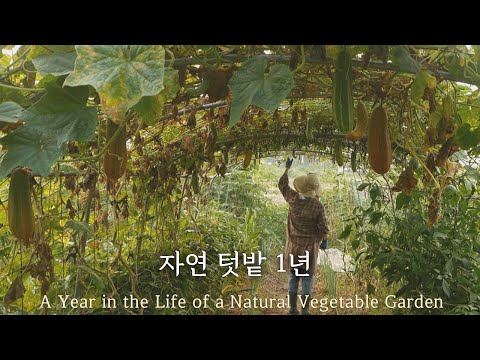 One Year of a Small Organic Vegetable Garden | 45 Crops Planted and Harvested in a Farming Journal