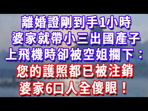離婚證剛到手1小時,婆家就帶小三出國產子,上飛機時卻被空姐攔下:您的護照都已被注銷!婆家6口人全傻眼!#深夜講故事#為人處世#生活經驗#情感故事#故事#小說#戀愛#情感#婚姻