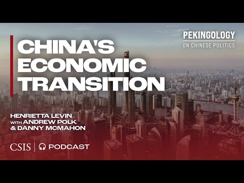 China's Economic Transition