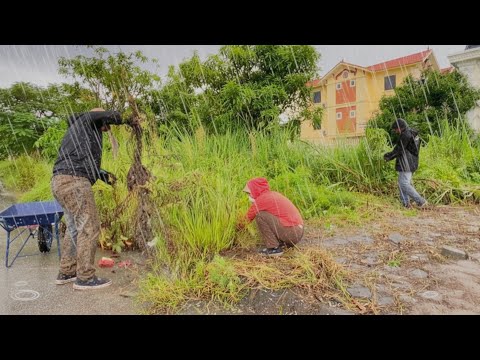 Three Dirty Clowns Cleaning Sidewalk in the Rain, Moving Passersby with Sympathy.