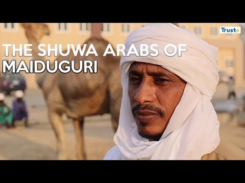 DOCUMENTARY: The Shuwa Arabs of Maiduguri