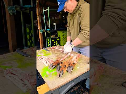 Removing deer leg tendons to use as sinew backing for my next selfbow. #tendons #hunting #archery