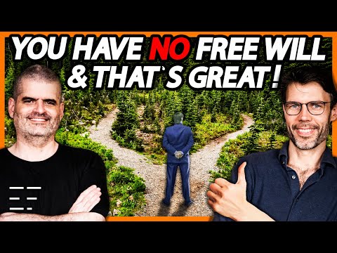 Find MORE Meaning WITHOUT Free Will! | Bernardo Kastrup Explains