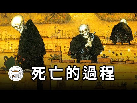 死亡是什麼感覺？死亡過程中會“看到”什麼？死後又會發生什麼？