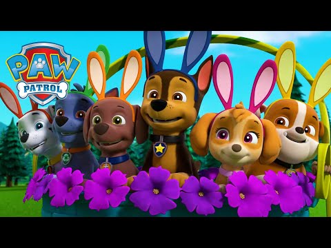 花的力量 - PAW Patrol 汪汪隊立大功 - 兒童卡通