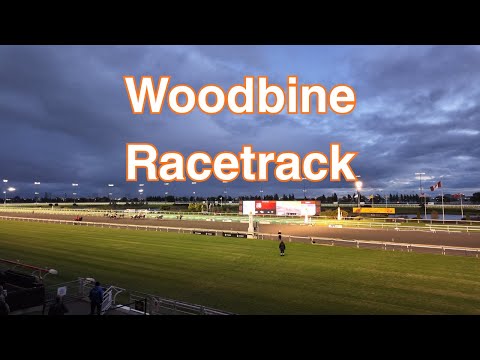 Toronto's Hidden Gem: FREE Admission to World-Class Horse Racing | Woodbine Racetrack