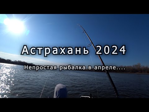 Весенняя поездка в Астрахань 2024 весной