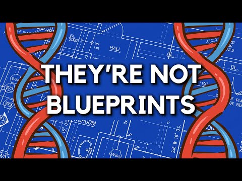 You've Been Lied To About Genetics