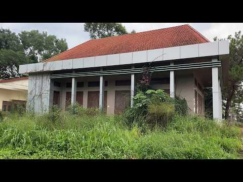 WE RESCUED AND RESTORED a Villa that Had Been Swallowed by Nature For Years