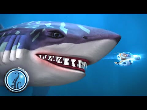 Strange Migration | The Deep Season 1 🦈 Ep 22 | HD Full Episode
