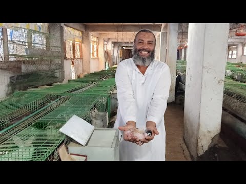 ارانب الخير عيزك تركز في الكلام(الرضاعه الحبيسه),,,108