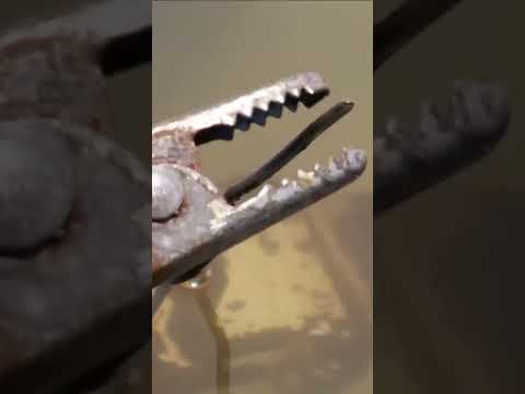 Restoring This Old And Rusty Multi-Purpose Tool#DIY Projects #metalworking #craftsmanship