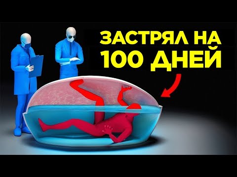 Реальные Истории, Которые Кажутся Выдуманными