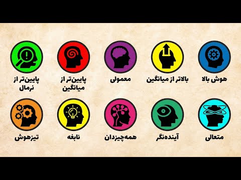 از کمهوش تا نابغه: تمام سطوح هوش در ۱۱ دقیقه