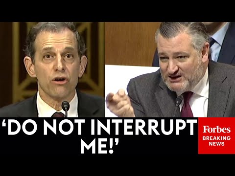 BREAKING NEWS: Ted Cruz Has Fiery Clash With Witness Over Minnesota Fraud