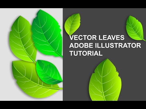 How to  create  vector leaves in Adobe illustrator tutorial