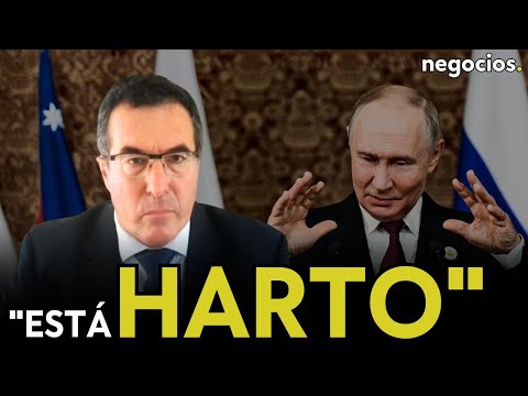 "Putin ha hecho declaraciones muy duras porque Rusia está harta de los líderes europeos". Gullo