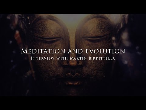 Meditation and Evolution - Interview with Martin Birrittella