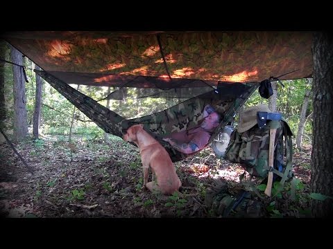 Kit Mentality Updates