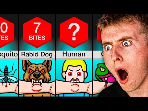 How Many BITES To Kill You?