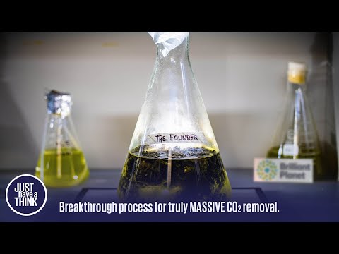 How to capture 2 billion tonnes of CO2 AND fix our oceans.