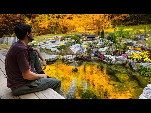 Year 1 of Transforming My Yard into a Wildlife Oasis