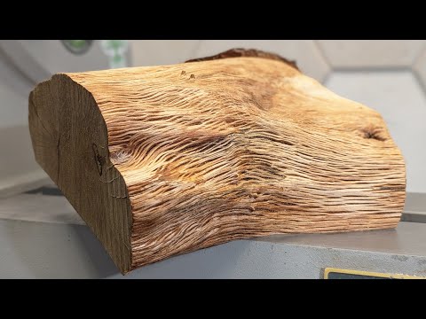 Holm Sweet Holm: Revealing Nature’s Art in Oak - woodturning project