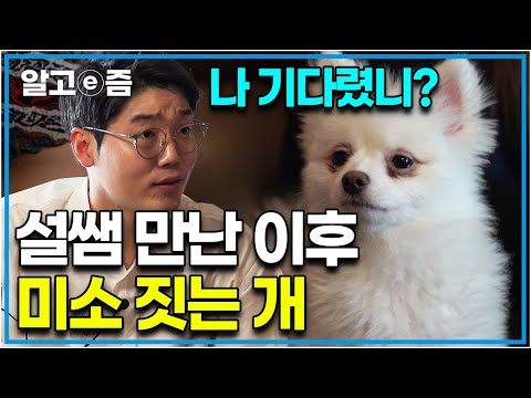 산책 거부에 보호자를 물기까지 하던 강아지가 설채현 수의사를 만나고 180도 변했다? 설쌤의 솔루션 맛보고 행복한 미소 짓는 개｜세상에 나쁜 개는 없다｜알고e즘