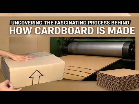How to Make Cardboard Cartoon Box in Local Factory | Cardboard Packages 📦