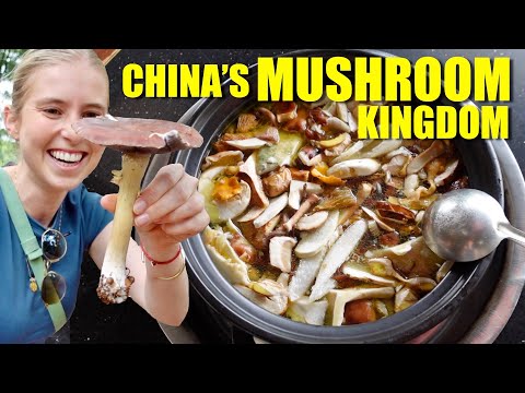 Hotpot but the ONLY ingredient is WILD MUSHROOMS?!