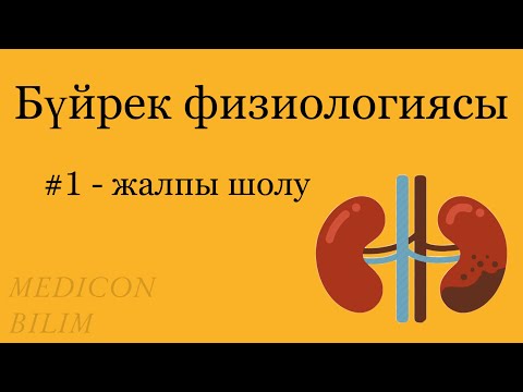 Бүйрек физиологиясы | 1-лекция | Физиология почек | курсқа тіркелу👇