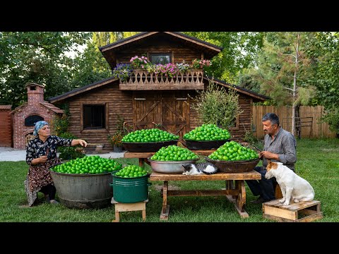 🍒🌿 Easy Orchard Cherry Plum Sauce Recipe! Just One Ingredient!