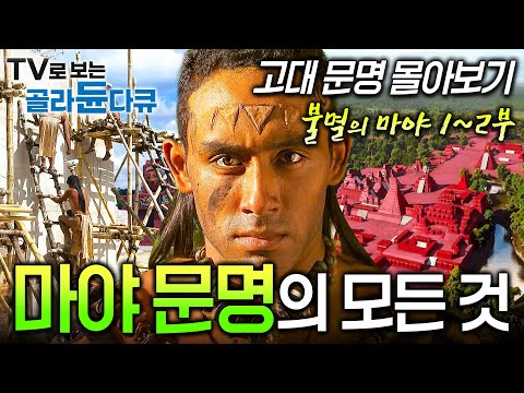 기원전 2,000년 부터 지금까지, 전설 속 감춰져 있던 마야 문명의 모든 것┃식인과 외계인 접촉, 마야 문명의 비밀┃고대 문명┃불멸의 마야┃다큐프라임┃#골라듄다큐
