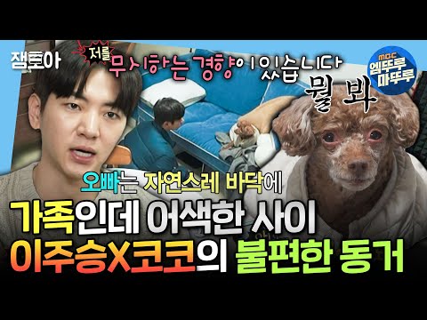 [나혼자산다] ＂이상하게 눈이 사람 눈이에요＂ 엄마 분리불안 있는 반려견 코코와 (강제) 한 달 살게 된 이주승😢ㅣ#이주승 MBC250124방송