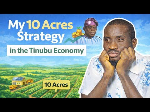 How I'd Use 10 Acres Farmland to Win in a Tinubu Economy 