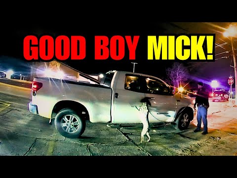 What Cops Found After K9 Sniffs Out This Pickup Truck