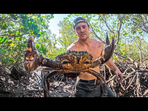 KING SIZE CRAB Catch & Cook (My Finger Got CHOMPED)
